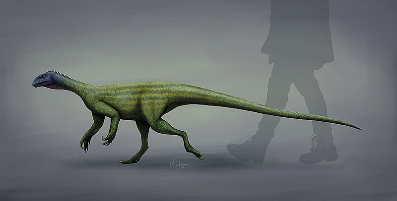 Thecondontosaurus